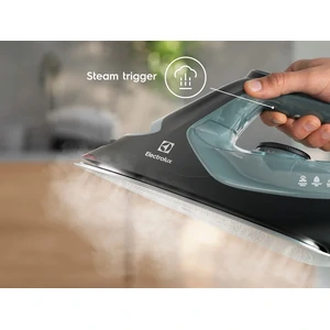 Праска Electrolux E7SI2-6OG UA