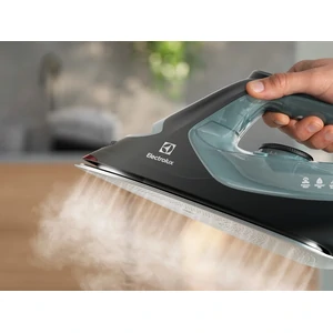 Праска Electrolux E7SI2-6OG UA
