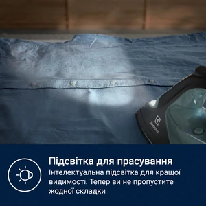 Праска Electrolux E7SI2-6OG UA