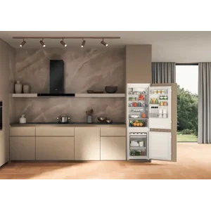 Холодильник Whirlpool WHC18D011C1 SF UA