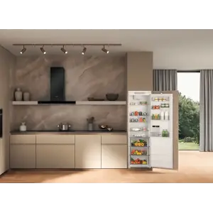 Холодильник Whirlpool WHSD18A013C1 UA