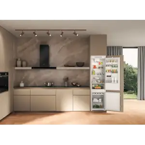 Холодильник Whirlpool WHC20D023B1 SF UA