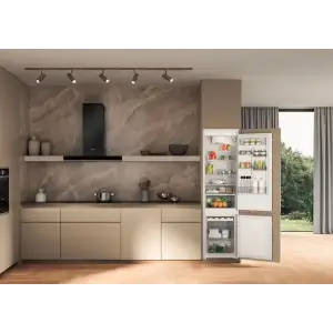 Холодильник Whirlpool WHC20D011B1 UA