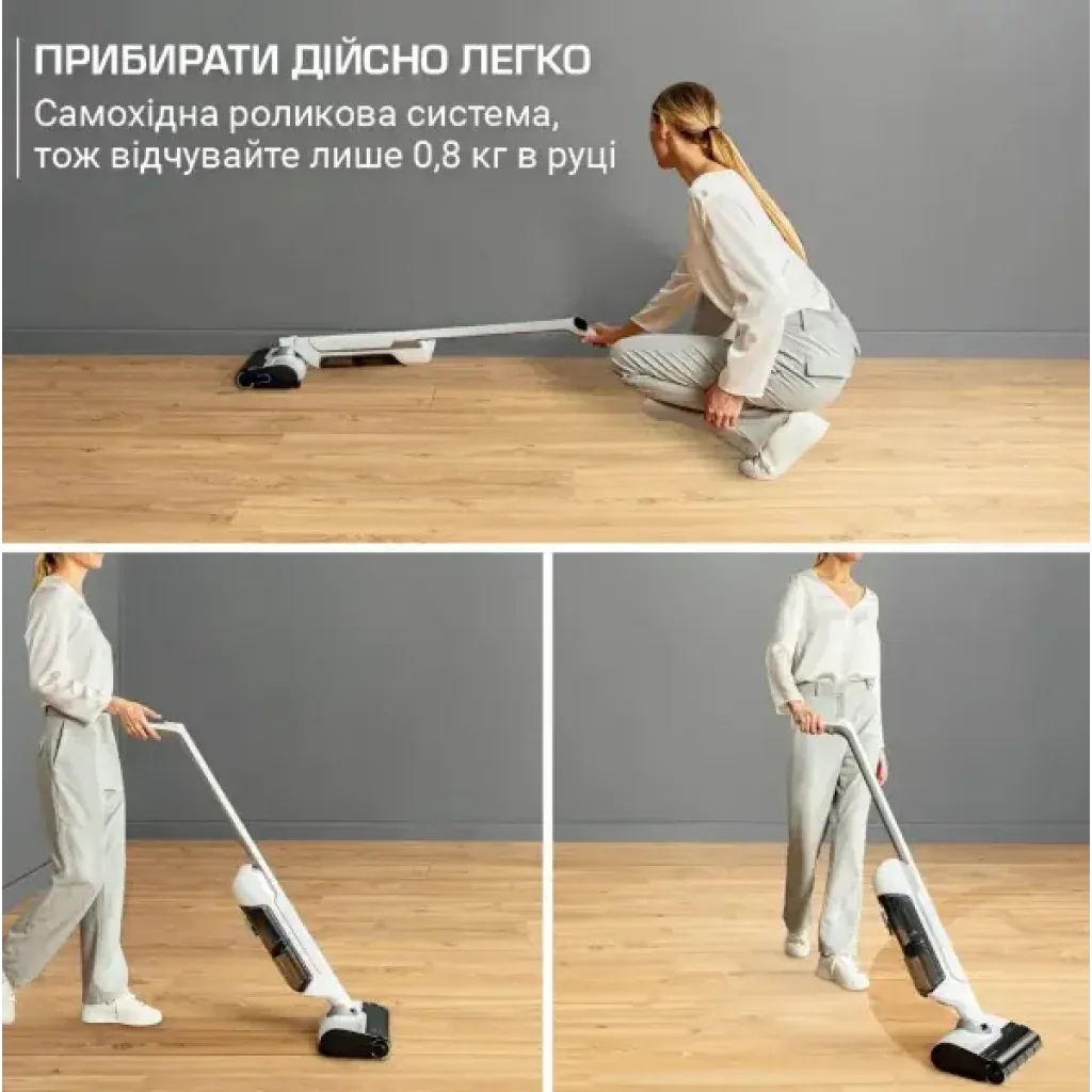 Аккумуляторный пылесос Rowenta GZ7035WO UA