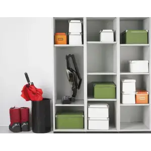 Аккумуляторный пылесос Gorenje SVC252110FSIIA UA