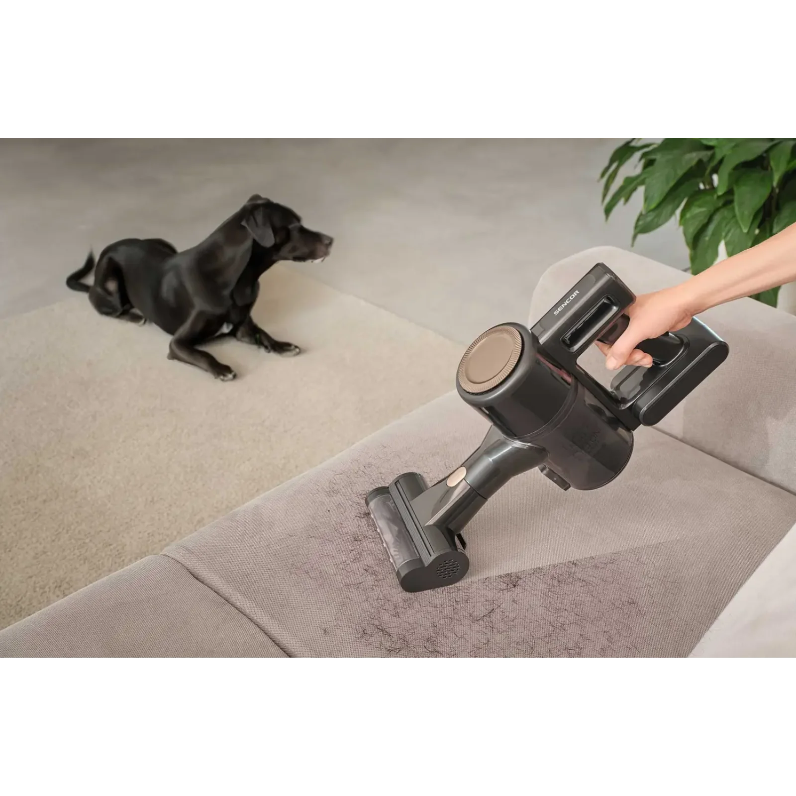 Акумуляторний пилосос Sencor SVC 7222BK UA