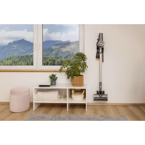 Аккумуляторный пылесос Gorenje SVC252420FFA UA