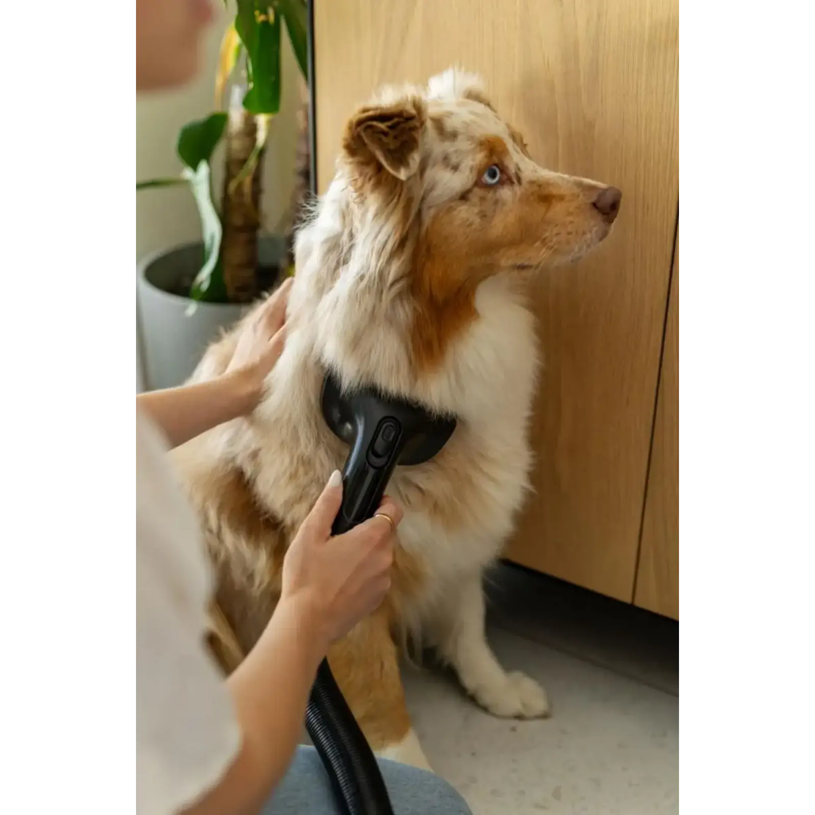 Аккумуляторный пылесос Gorenje SVC259449NDCO (V24P01FP2535EU) UA