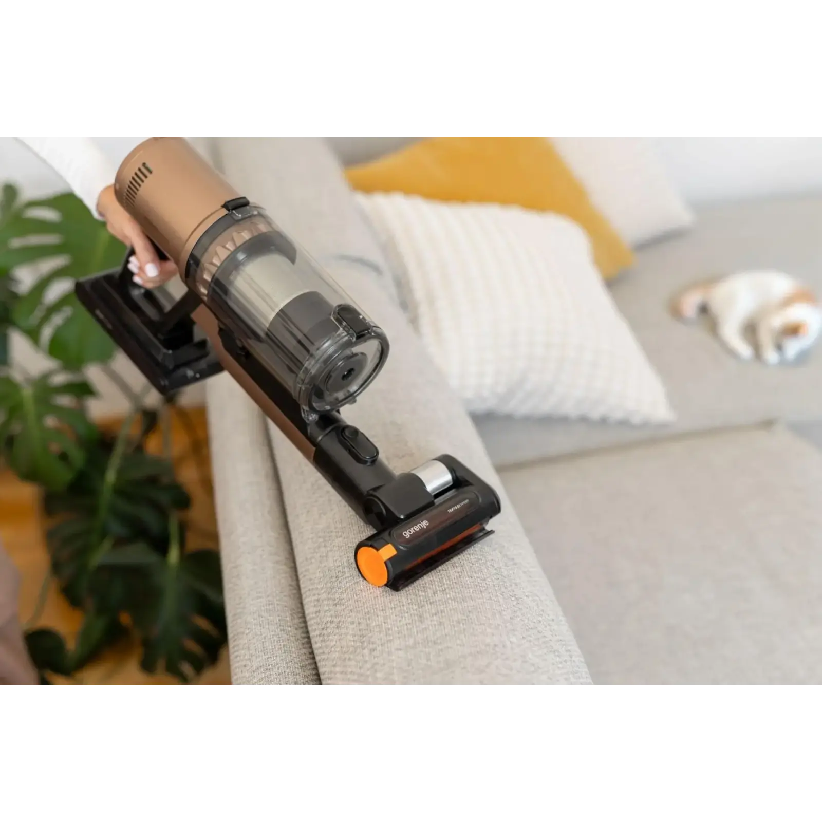 Аккумуляторный пылесос Gorenje SVC259449NDCO (V24P01FP2535EU) UA