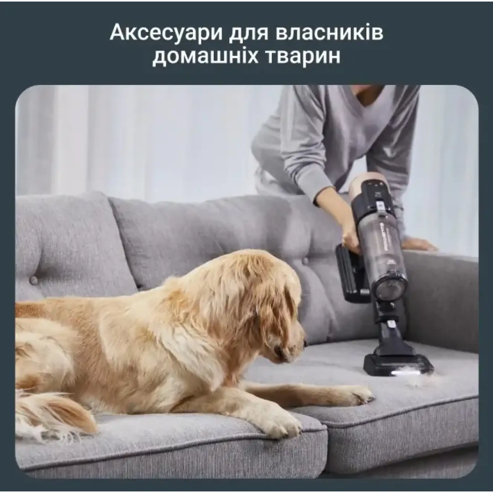 Акумуляторний пилосос Rowenta RH9B74WO UA