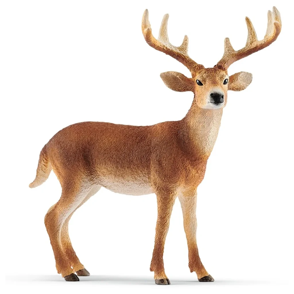 Іграшка фігурка Schleich Білохвостий олень UA