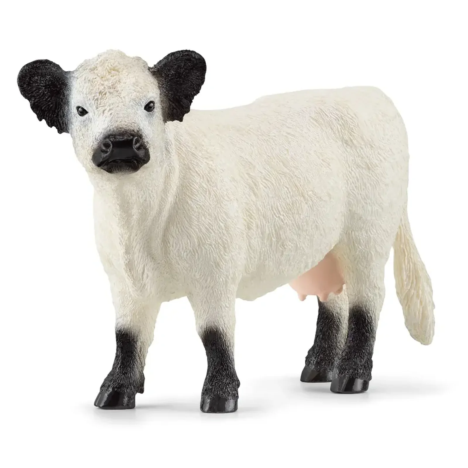 Іграшка фігурка Schleich Корова Галоуей UA