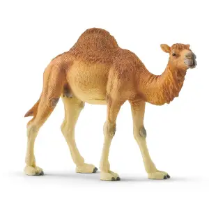 Іграшка фігурка Schleich Дромедар UA