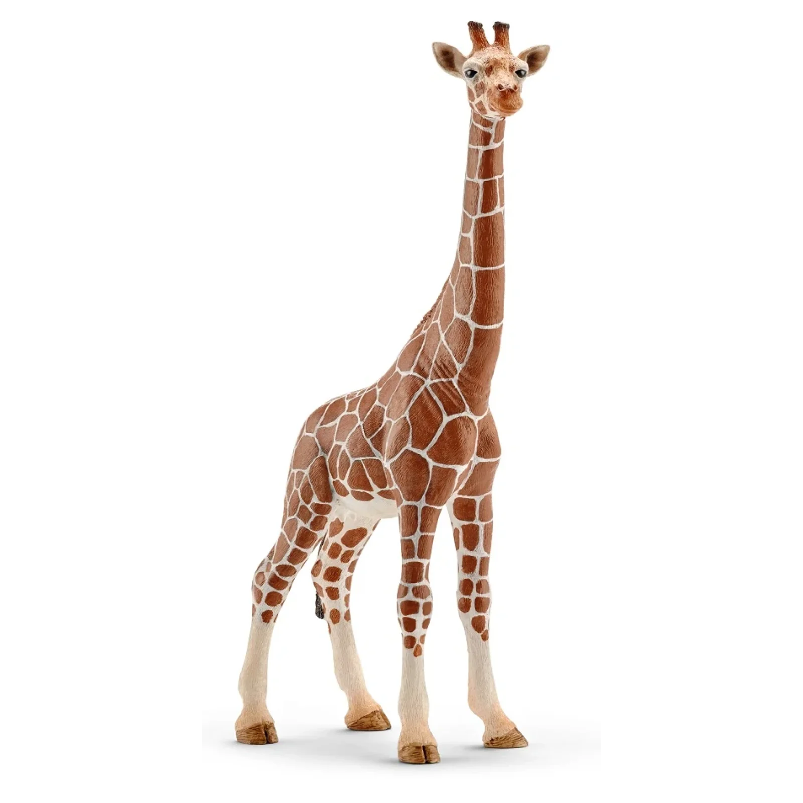 Іграшка фігурка Schleich Жирафа самка UA