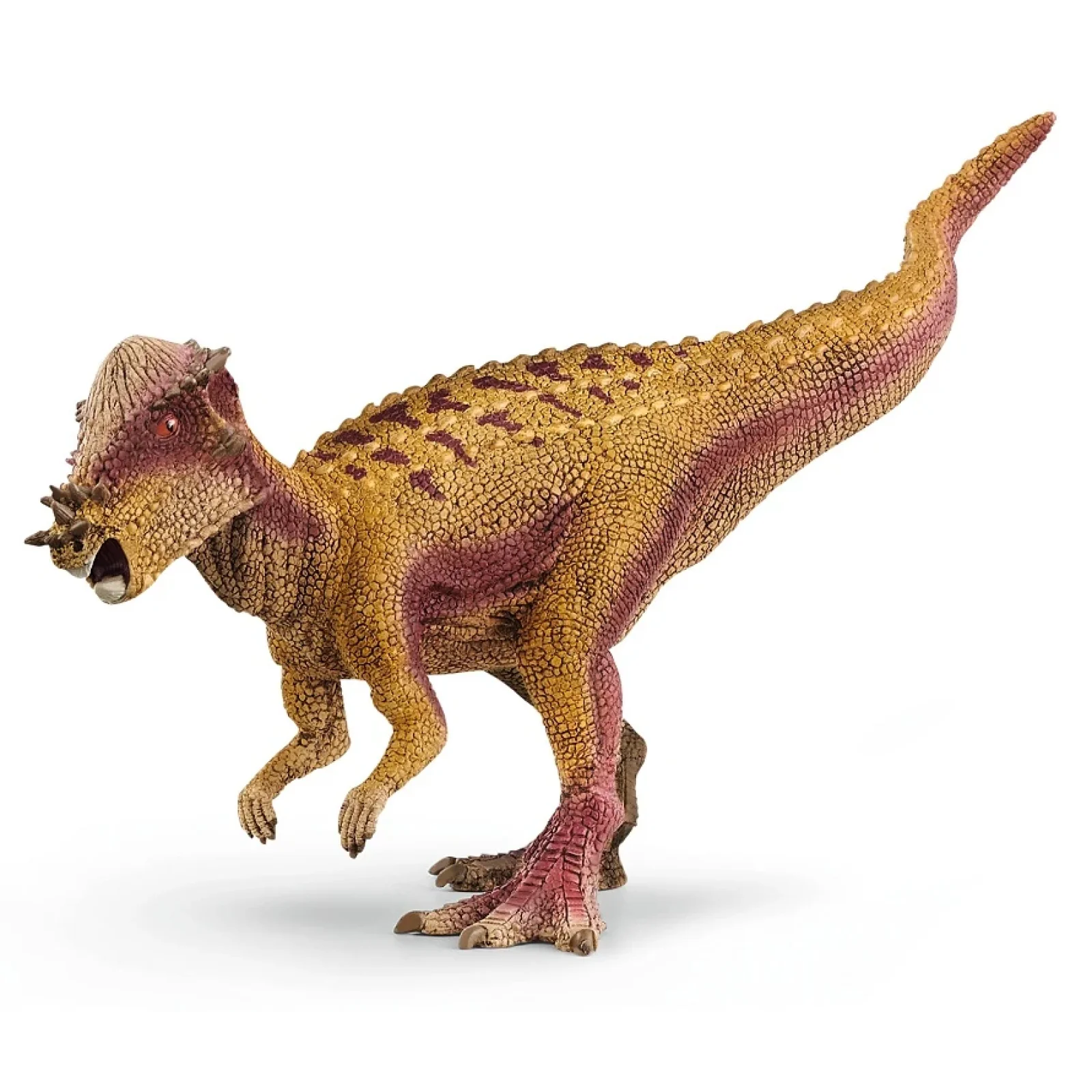 Игрушка фигурка Schleich Пахицефалозавр UA