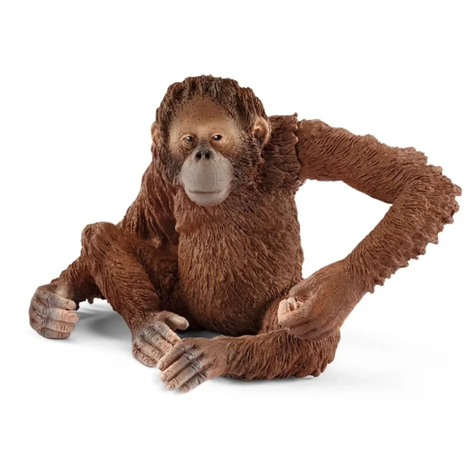 Игрушка фигурка Schleich Самка орангутанга UA
