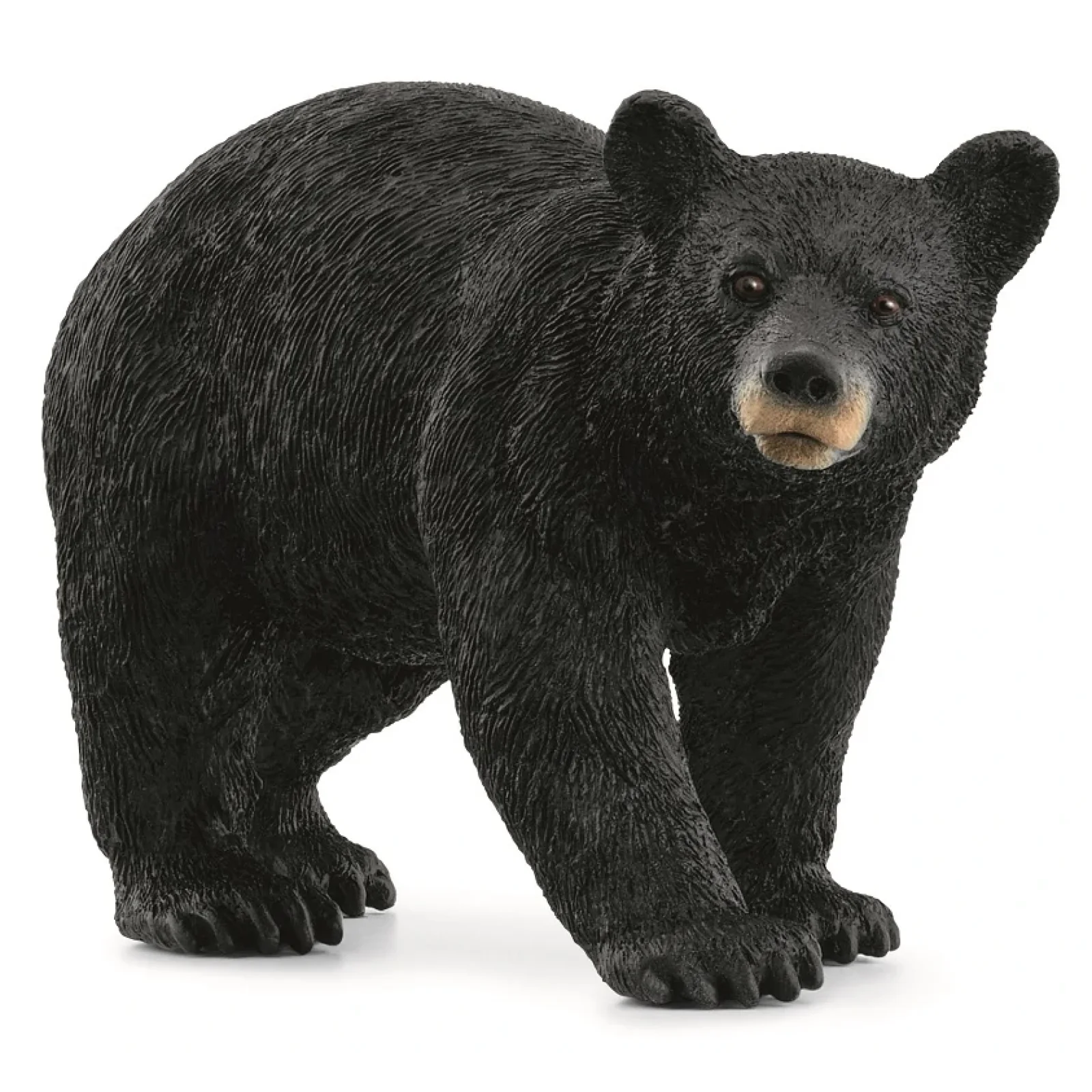 Іграшка фігурка Schleich Американський чорний ведмідь UA
