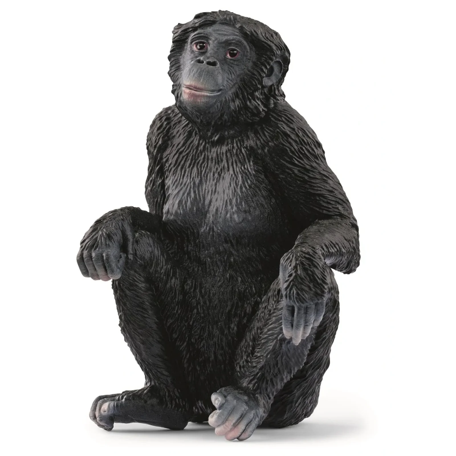 Іграшка фігурка Schleich Бонобо самка UA