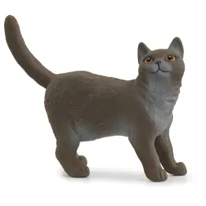 Іграшка фігурка Schleich Британська короткошерста кішка UA