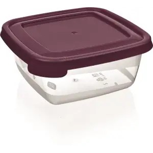 Контейнер BAGER BG-621 COOK&KEEP MIX UA