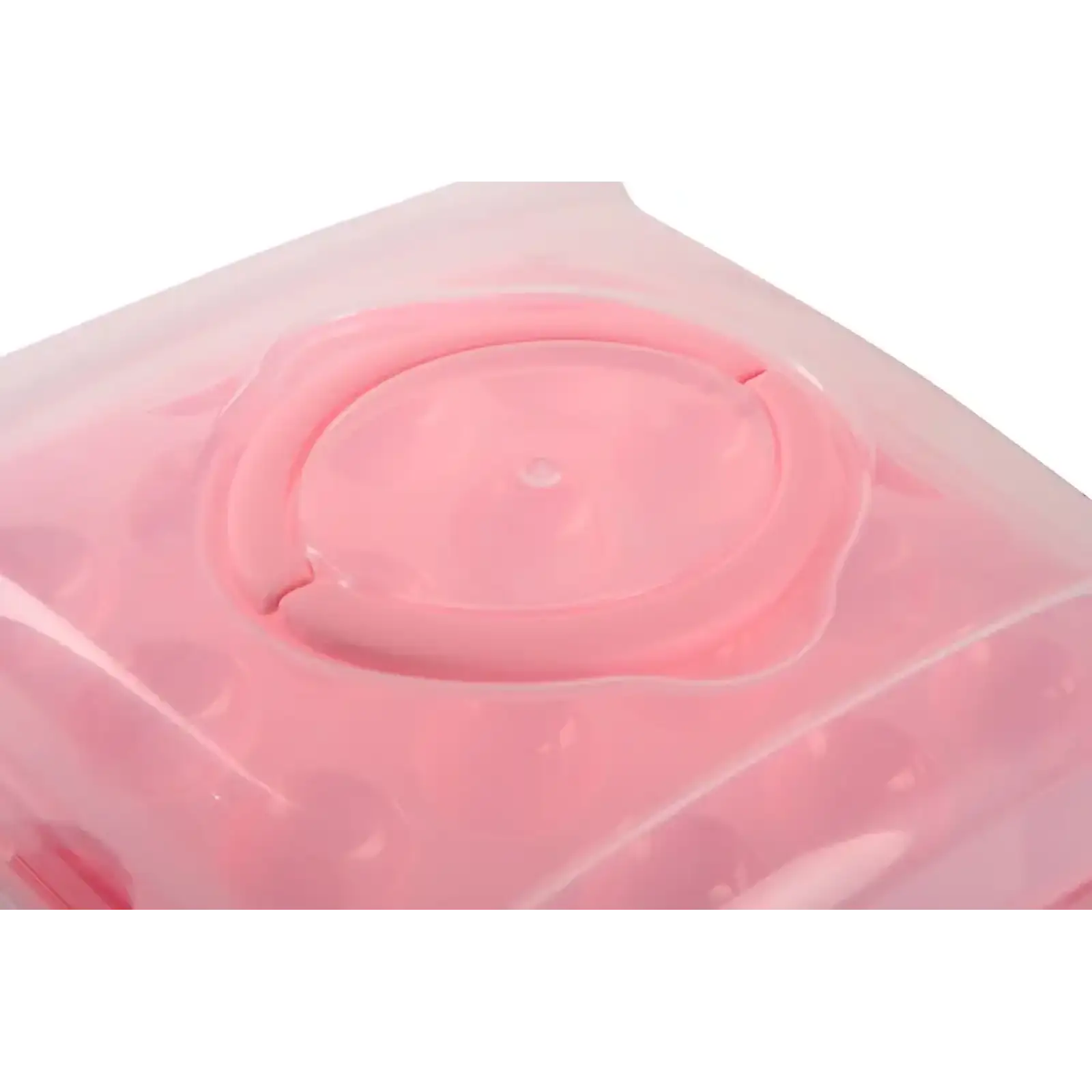 Контейнер Violet House 0049 SOFT PINK на 32 шт UA