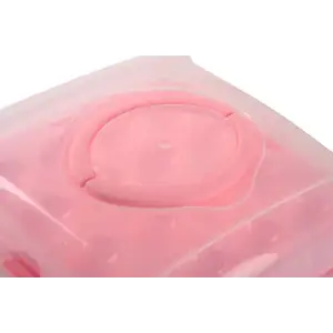 Контейнер Violet House 0049 SOFT PINK на 32 шт UA