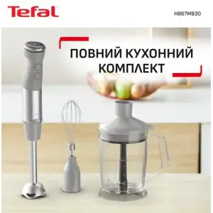 Занурювальний блендер Tefal HB67MB30 UA
