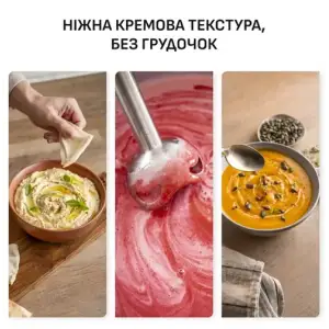 Занурювальний блендер Tefal HB67MB30 UA