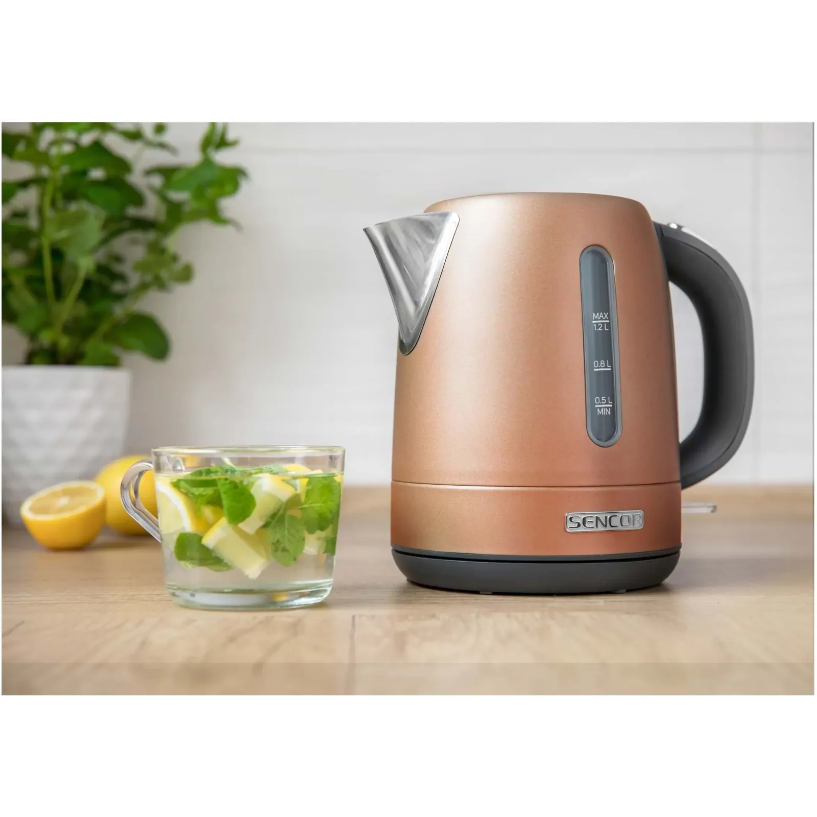 Чайник SENCOR SWK1226GD UA