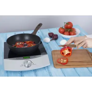 Индукционная плита ERGO IHP-1606 UA
