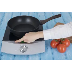 Индукционная плита ERGO IHP-1606 UA