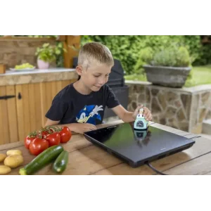 Індукційна плита Hisense HIC2000Y UA