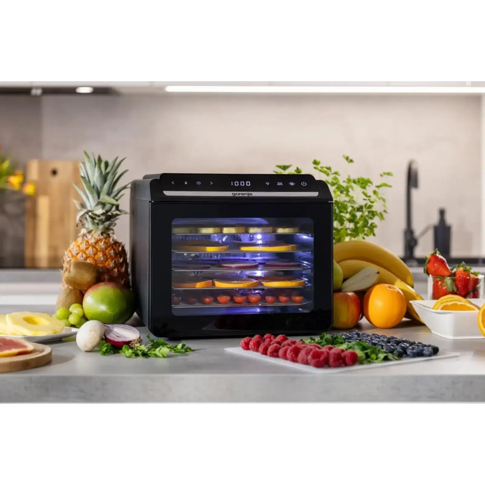 Сушкарка для фруктів і овочів Gorenje FDK600DB UA