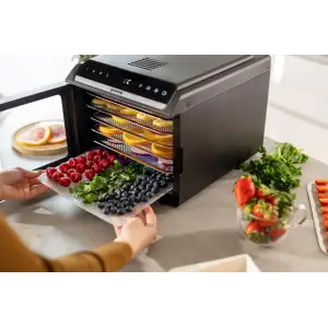 Сушкарка для фруктів і овочів Gorenje FDK600DB UA
