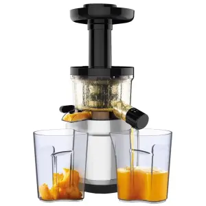 Соковыжималка шнековая Tefal ZC420E38 UA