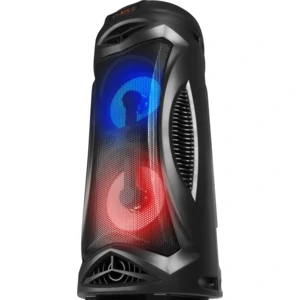 Портативная акустика Defender G70 12Вт, Black (65171) UA