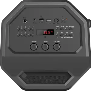 Портативна колонка Defender Rage 50 W Black (65109) UA