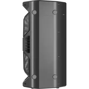 Портативна колонка Defender Rage 50 W Black (65109) UA