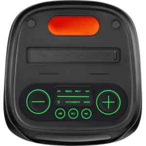 Портативная акустика Defender Boomer 85 100Вт Black (65185) UA