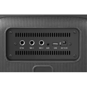 Портативна акустика Defender Roadster 100ВтBlack (65136) UA