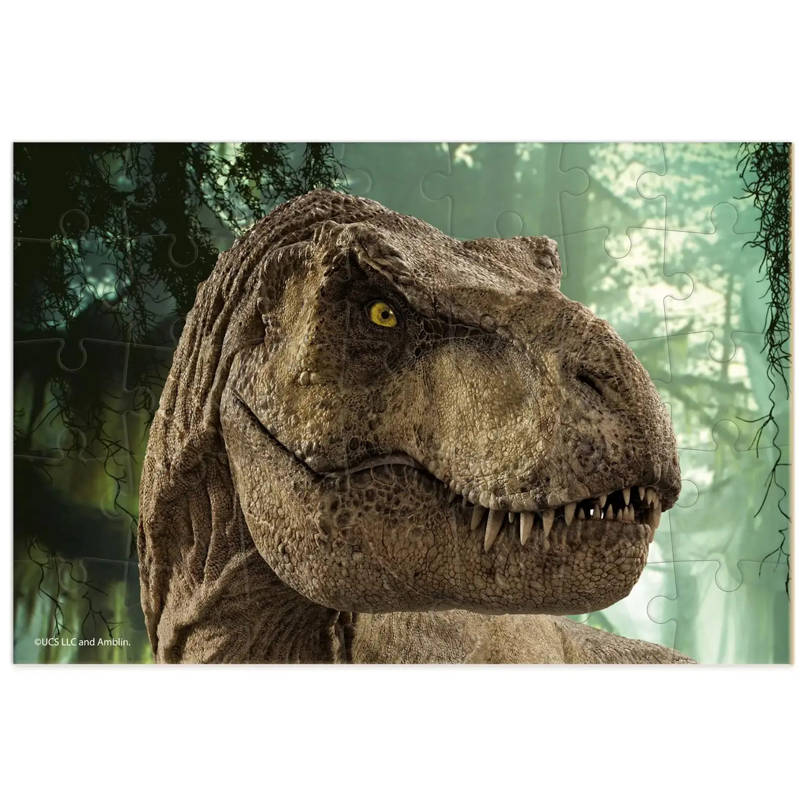Пазл міні Dodo Jurassic Park, 35 шт (200393) UA