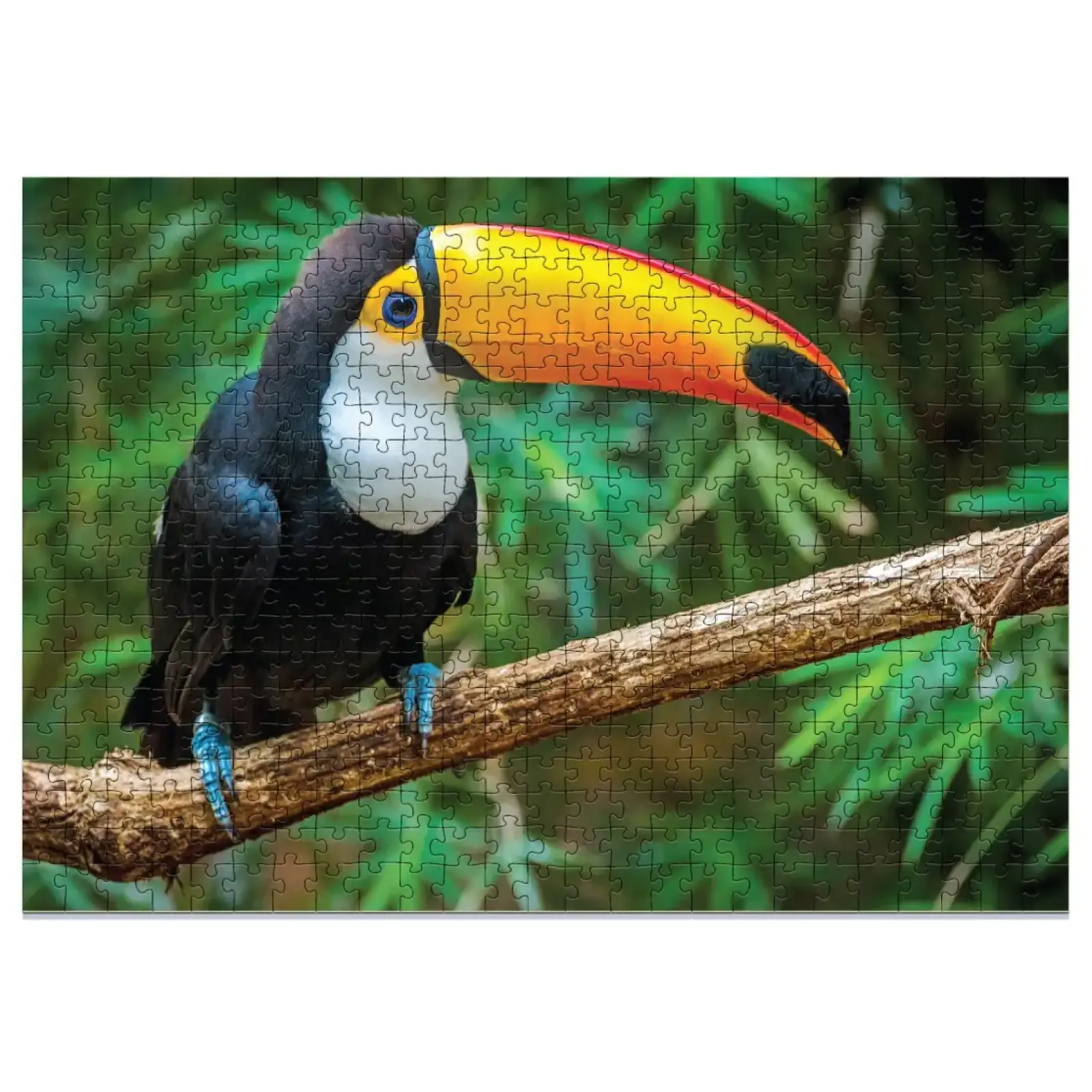 Пазл Dodo Птица Тукан, Бразилия, 500 шт (300400) UA