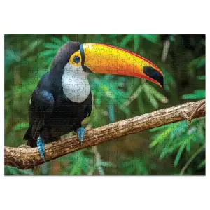 Пазл Dodo Птица Тукан, Бразилия, 500 шт (300400) UA