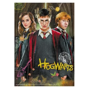 Пазл Dodo Harry Potter Гарі та друзі, 250 елементів (200498) UA
