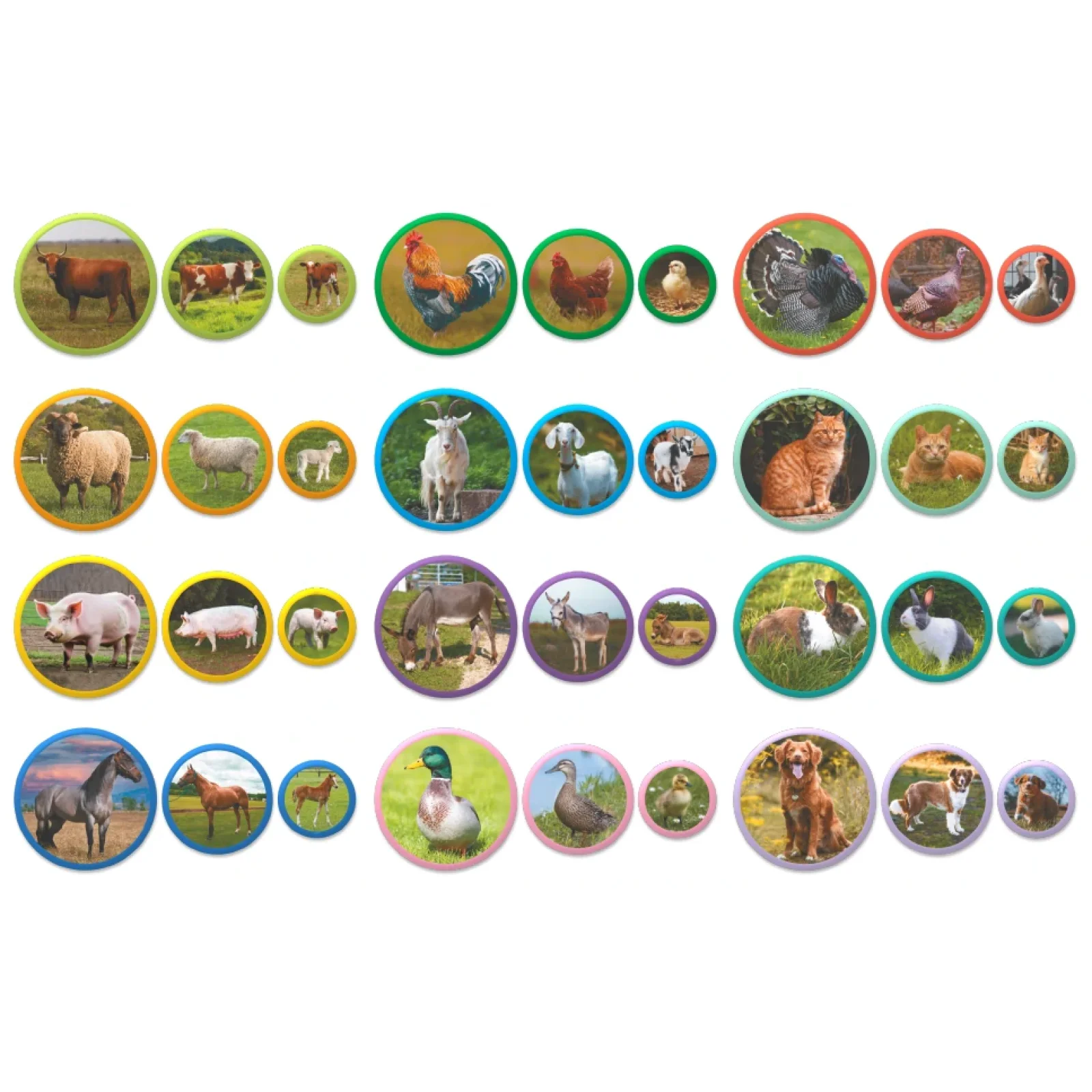 Магнітний набір Dodo Монтесорі Родини тварин: ферма, 36 елементів (200271) UA