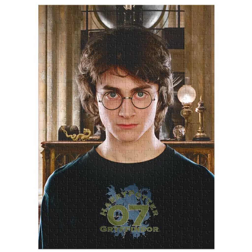 Пазл Dodo Hard-M Harry Potter, Портрет Гаррі (200576) UA