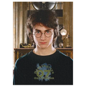 Пазл Dodo Hard-M Harry Potter, Портрет Гаррі (200576) UA