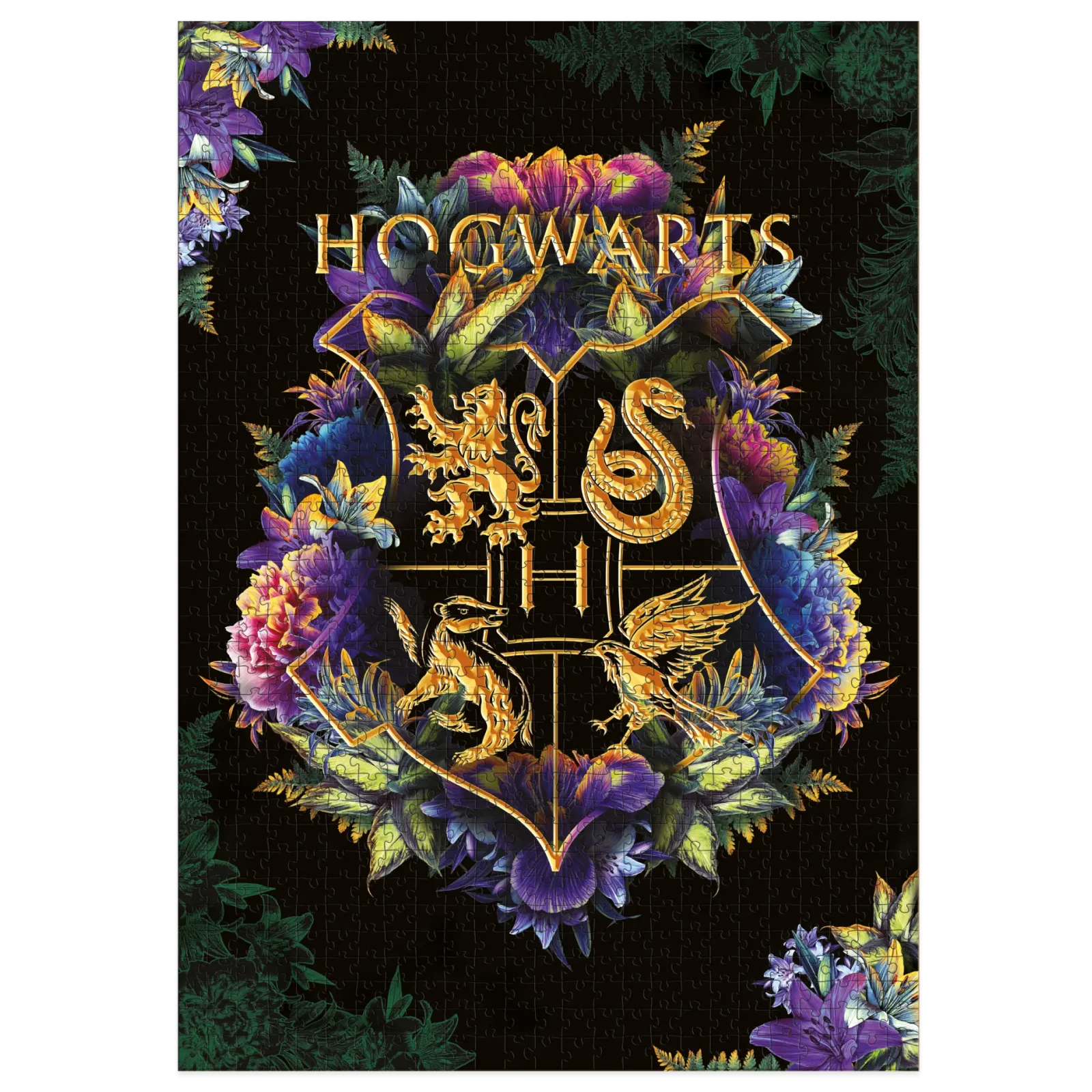 Пазл Dodo Medium-XL Harry Potter, Хогвартс Изысканные странности (200570) UA