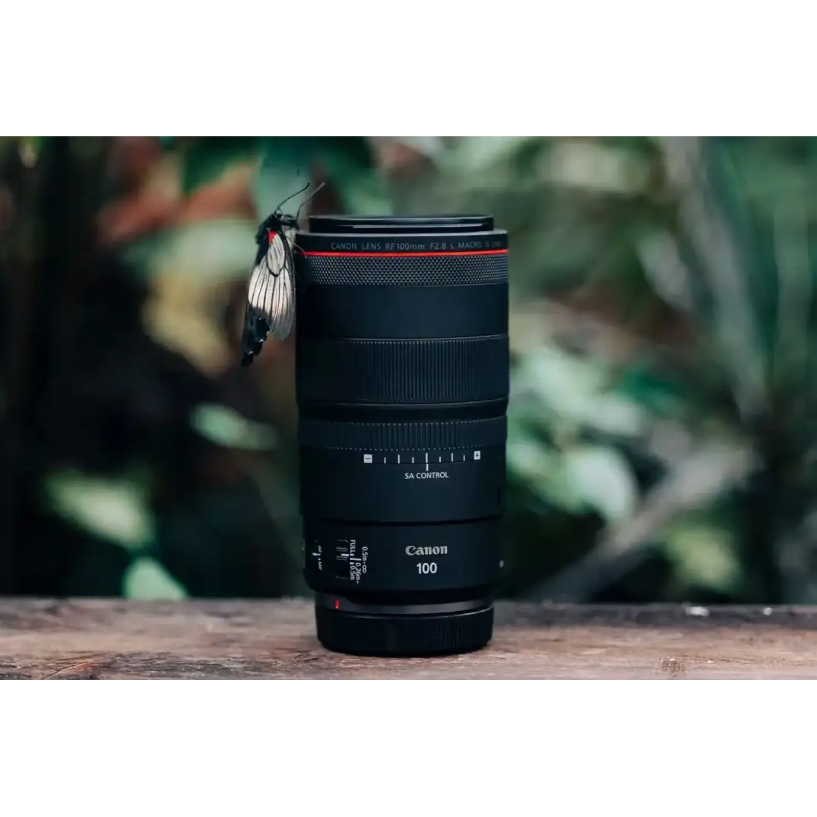 Объектив Canon RF 100mm F2.8L MACRO IS USM UA