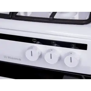 Комбінована плита Hansa FCMW580250 UA
